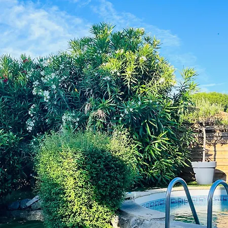 Piscine Cosy, 3 Chambres, 3 Sdb, Havre De Paix A 10 Min Des Plages 别墅 莫吉奥